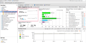 Tracked keywords and average ranking data for the new dynamic tag